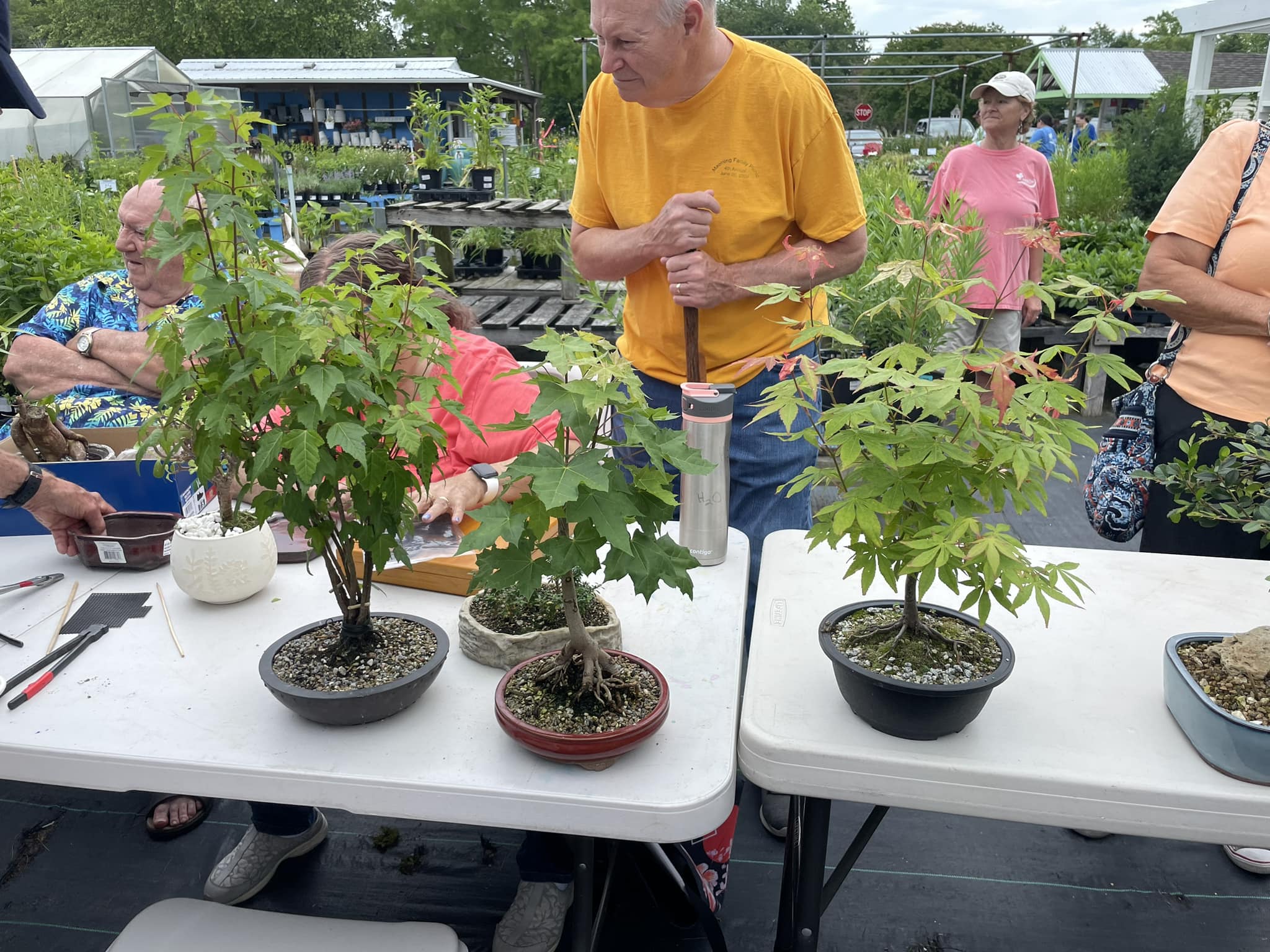 Bonsai Club | Inland Bays Garden Center