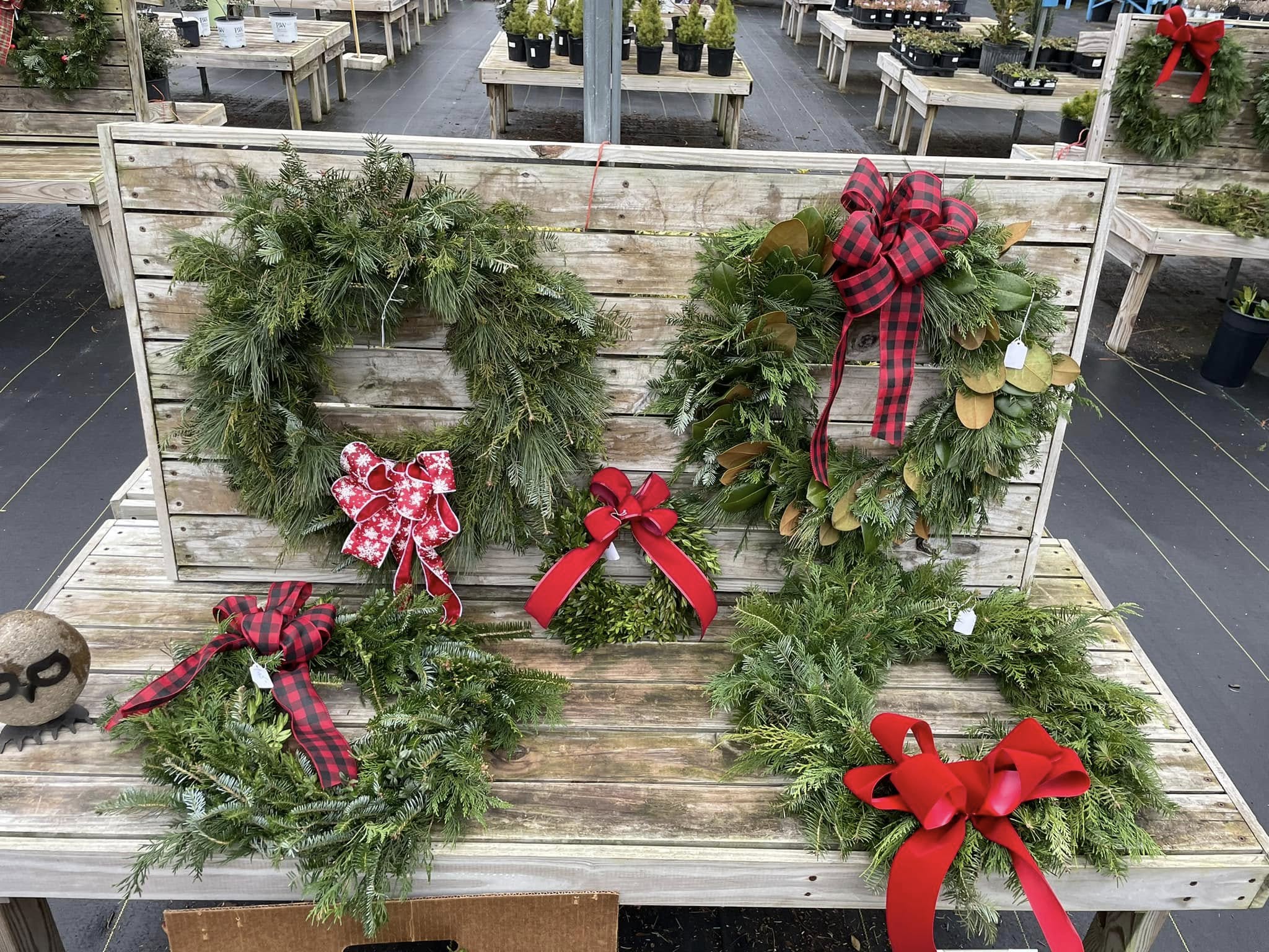 Fresh handmade holiday wreaths with bows, magnolia, and evergreens